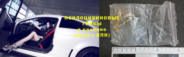 молекула духа Вяземский