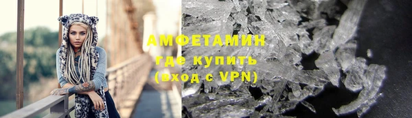 молекула духа Вяземский