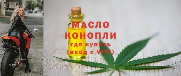 молекула духа Вяземский