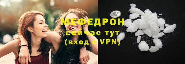 молекула духа Вяземский