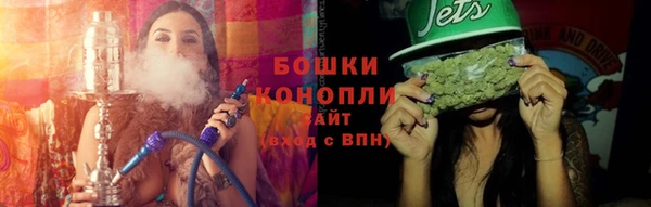 молекула духа Вяземский