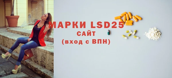 ГАЛЛЮЦИНОГЕННЫЕ ГРИБЫ Вязьма
