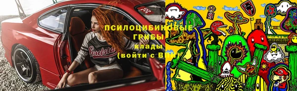 прущая мука Вязники