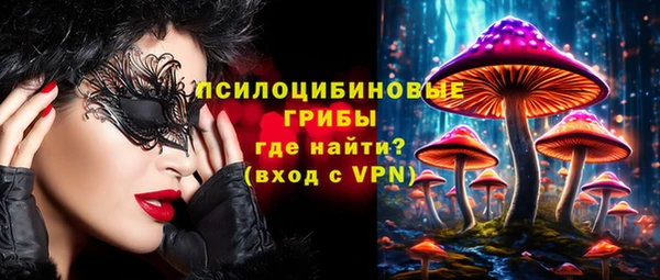 молекула духа Вяземский