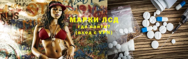 молекула духа Вяземский