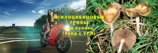 ГАЛЛЮЦИНОГЕННЫЕ ГРИБЫ Вязьма