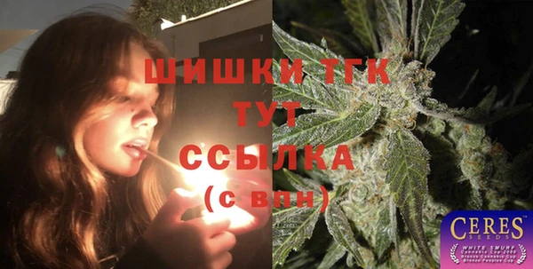 молекула духа Вяземский