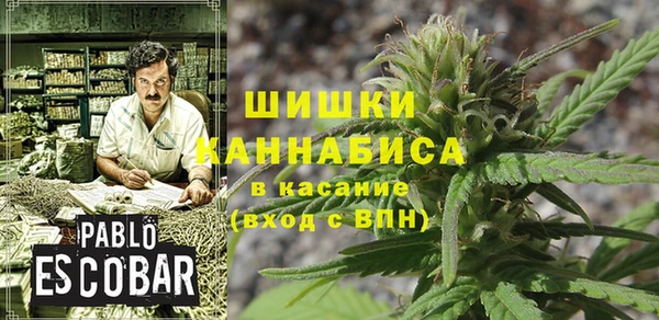 молекула духа Вяземский