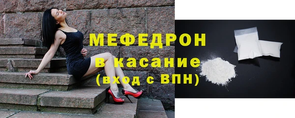 молекула духа Вяземский