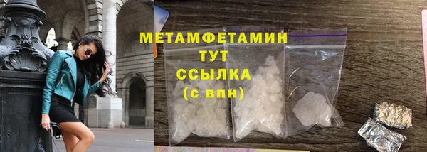 молекула духа Вяземский