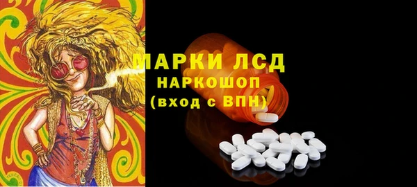 молекула духа Вяземский