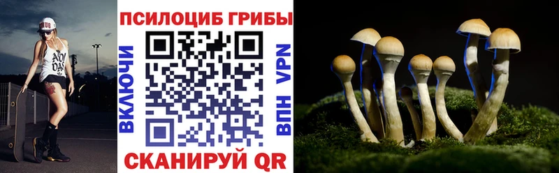 Псилоцибиновые грибы Psilocybine cubensis  blacksprut ТОР  Далматово  где найти наркотики 